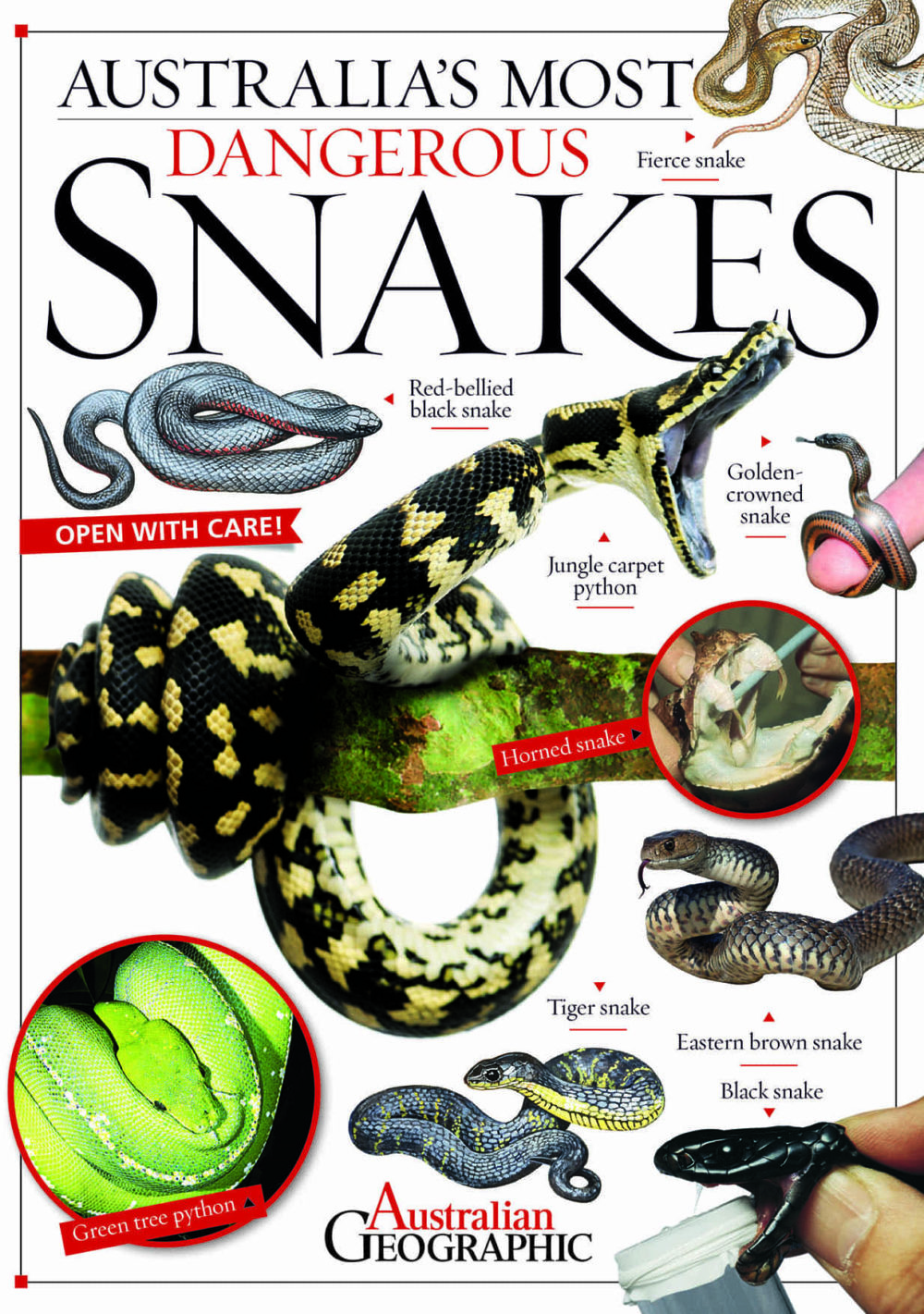 australia-s-most-dangerous-snakes-australian-geographic