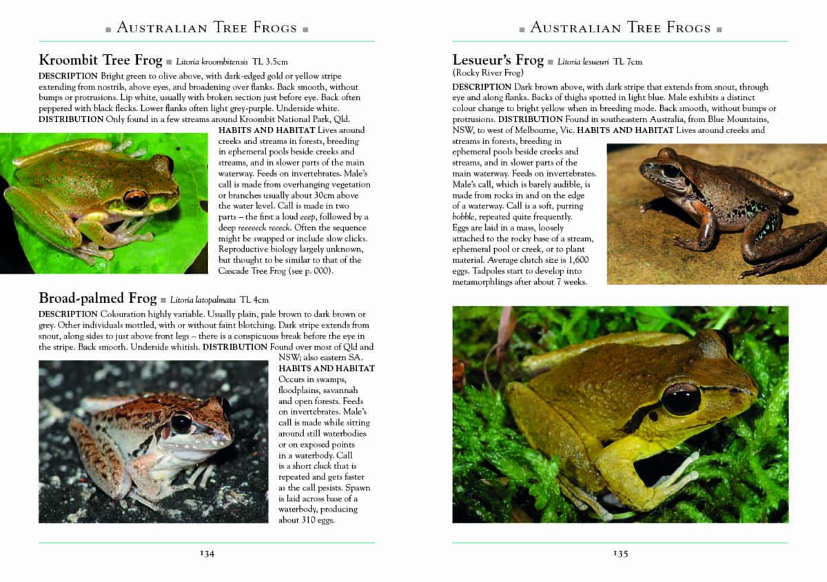 A Naturalist's Guide to Frogs of Australia - Australian Geographic