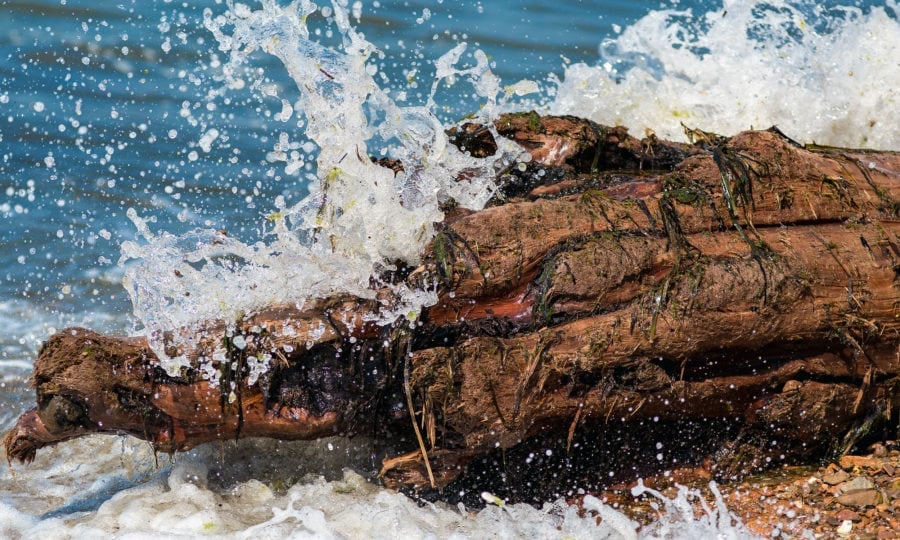 Surfing the mysterious tidal bores of Australia - Australian Geographic