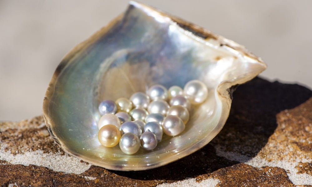 Video: Pearl industry offers hope to oyster farmers in NSW - Australian ...