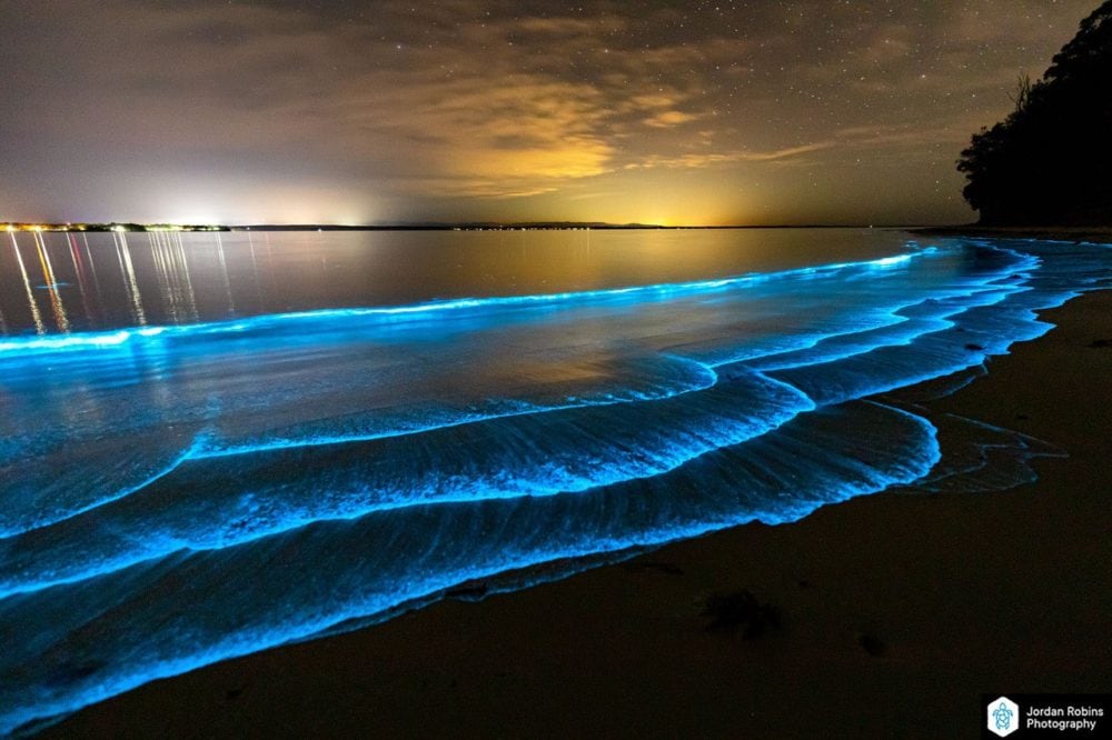 Bioluminescence lights up Jervis Bay on Anzac Day