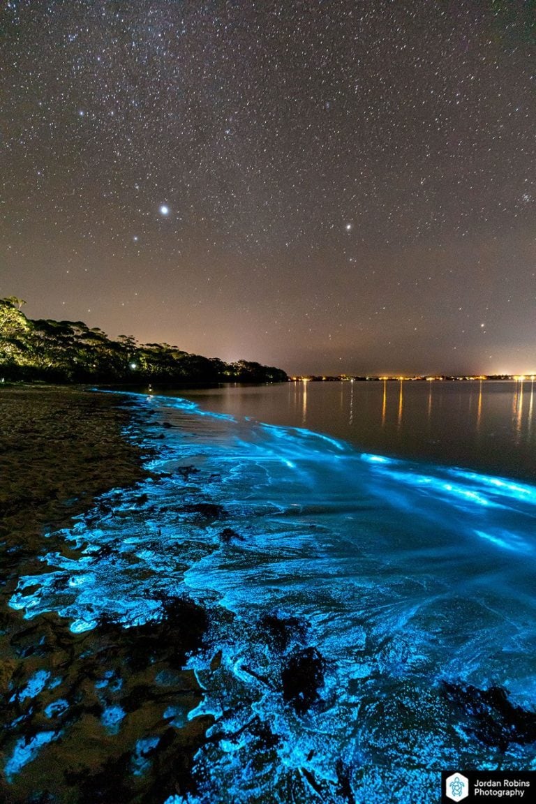 Bioluminescence lights up Jervis Bay on Anzac Day