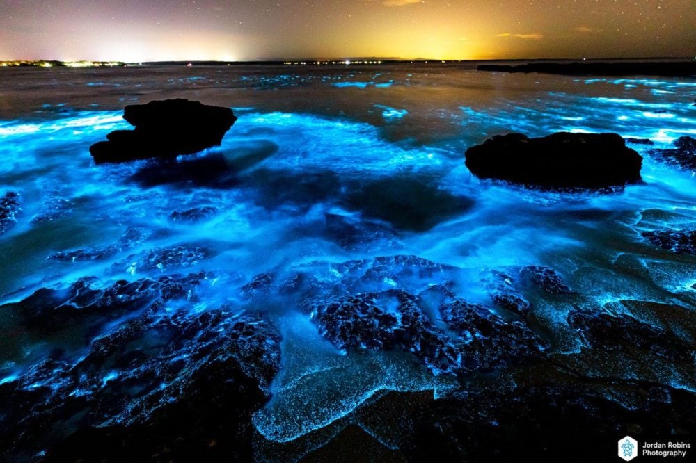 Bioluminescence lights up Jervis Bay on Anzac Day