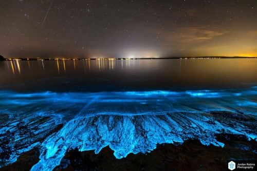 Bioluminescence lights up Jervis Bay on Anzac Day