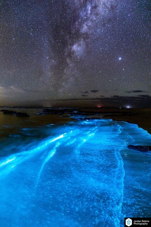 Bioluminescence Lights Up Jervis Bay On Anzac Day