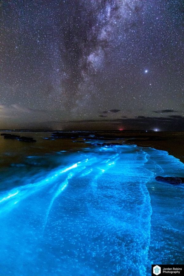 Bioluminescence lights up Jervis Bay on Anzac Day