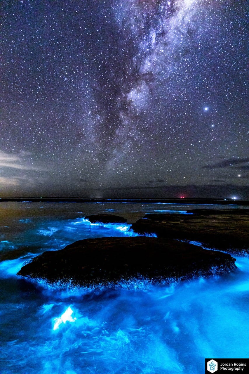 Bioluminescence lights up Jervis Bay on Anzac Day