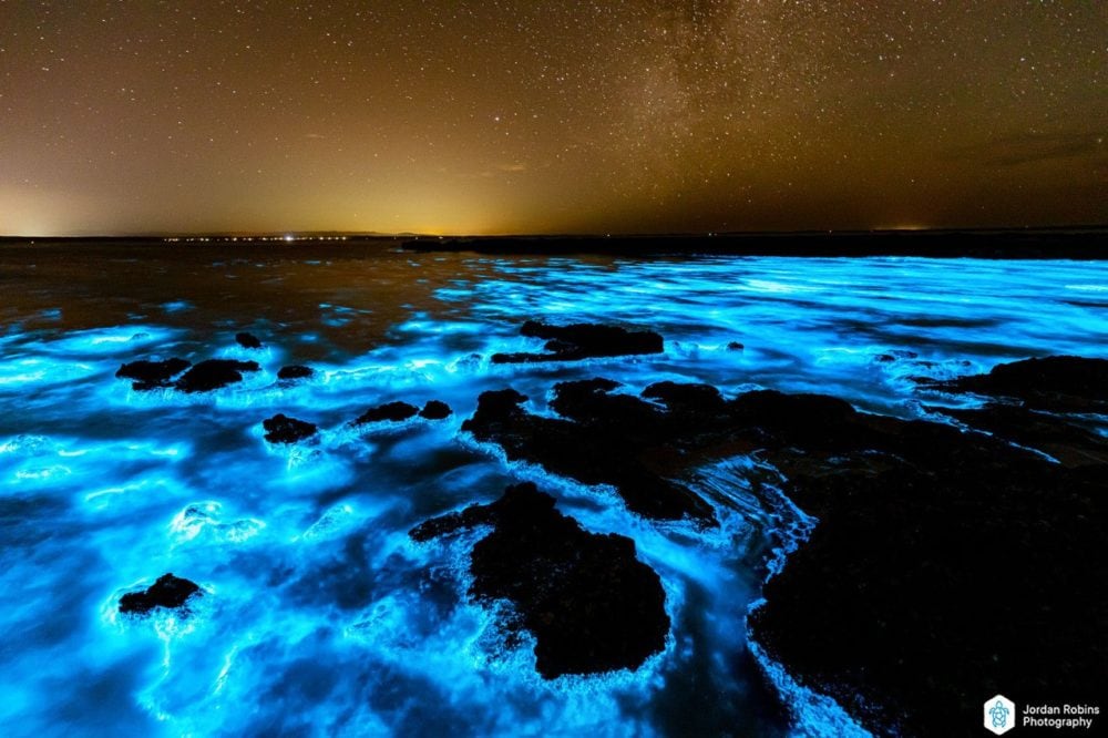 Bioluminescence lights up Jervis Bay on Anzac Day