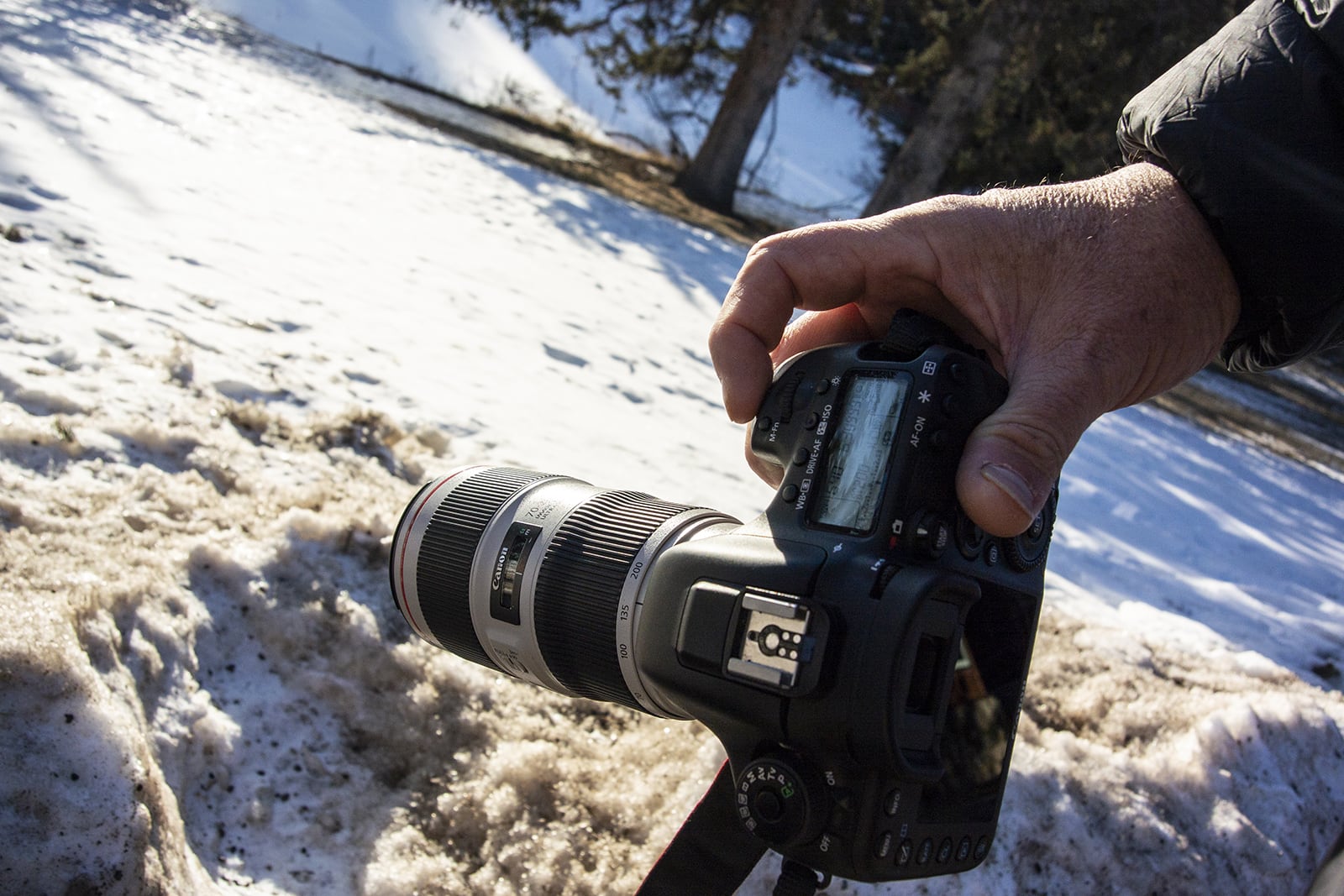 Canon EF 70-200 f/4 L IS II USM lens: Tested