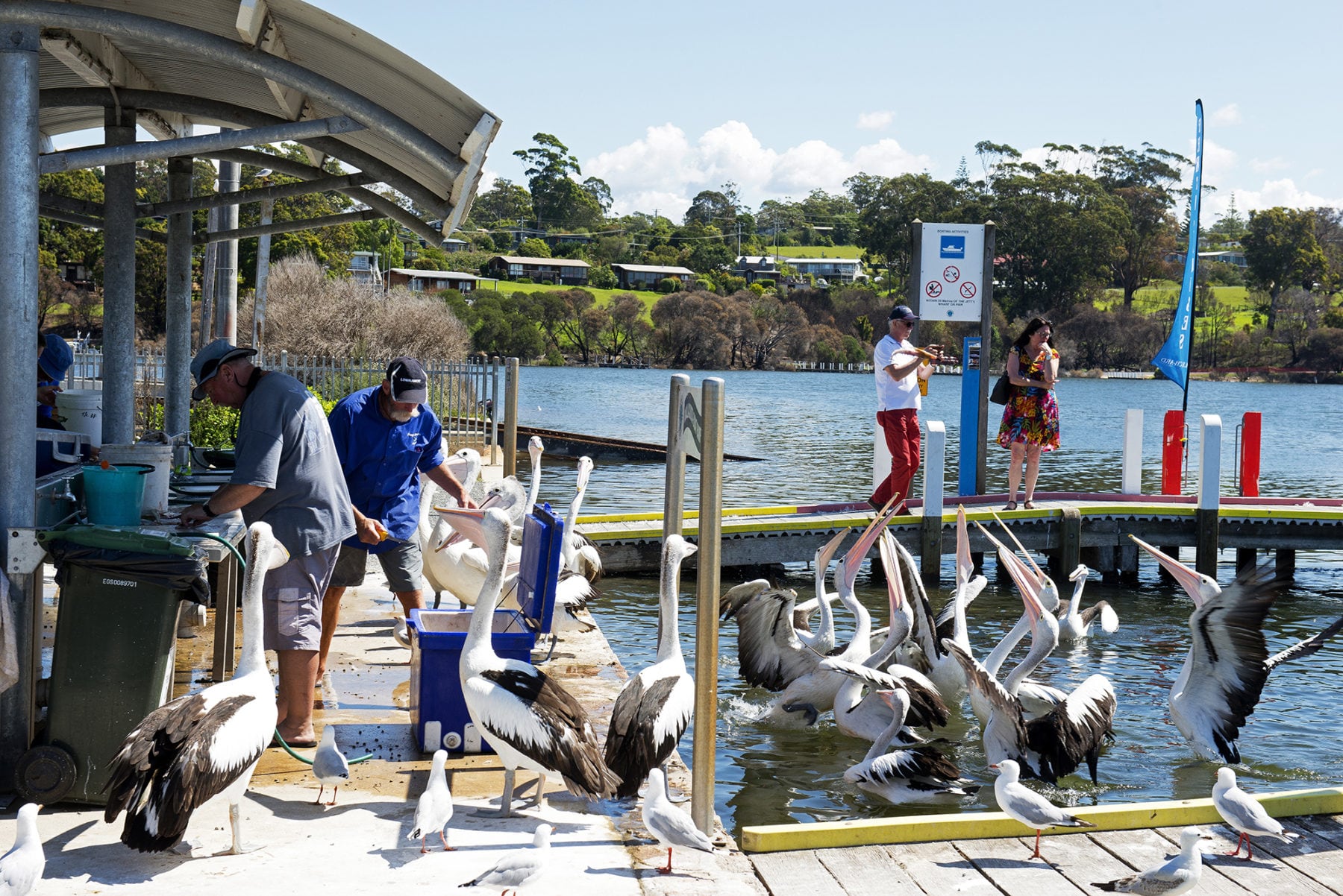 East Gippsland grit: the resilience driving recovery - Australian ...