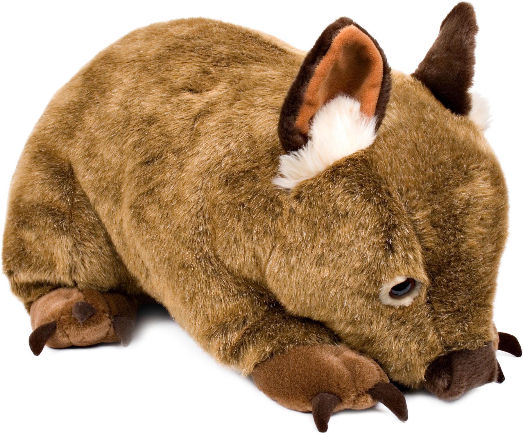 Plush Large Wombat Wayne 58cm - Australian Geographic