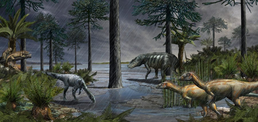 Scientists Discover Mass Extinction Event That Heralded Dawn Of The 