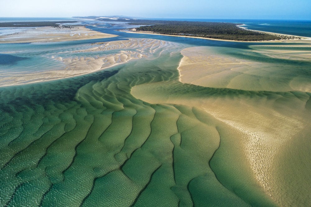 Moreton Bay, the bay of plenty - Australian Geographic