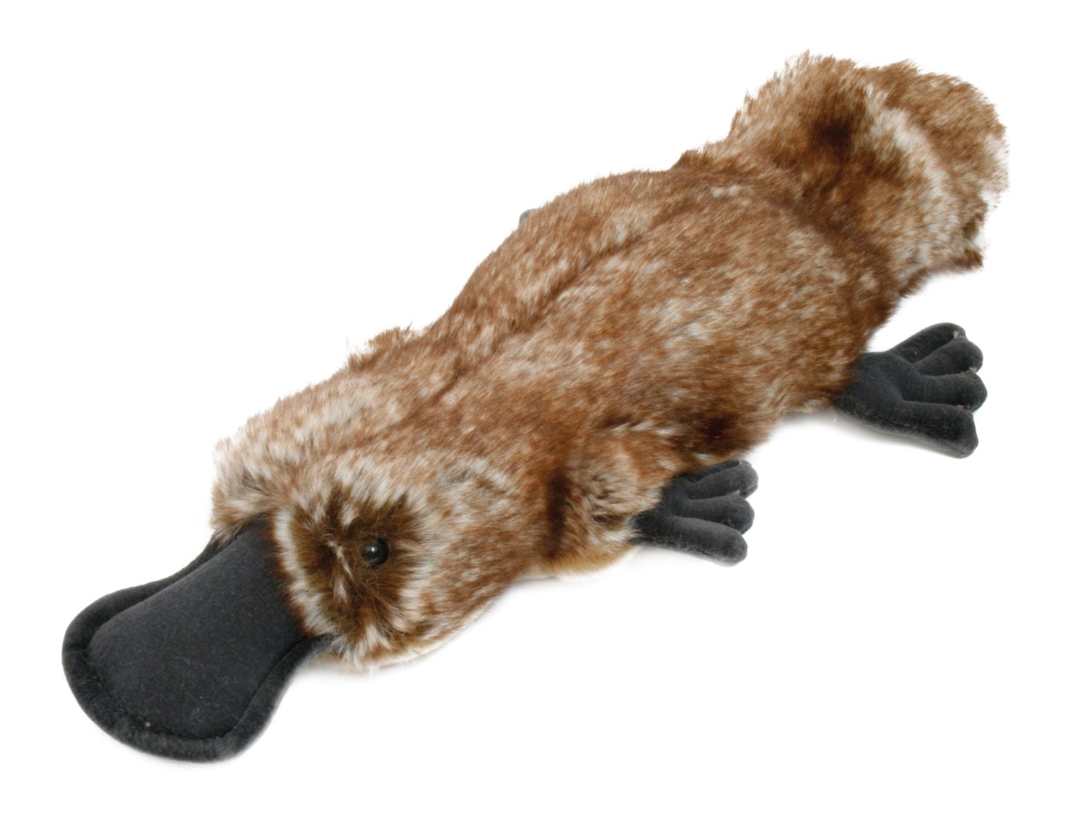 jodi platypus plush