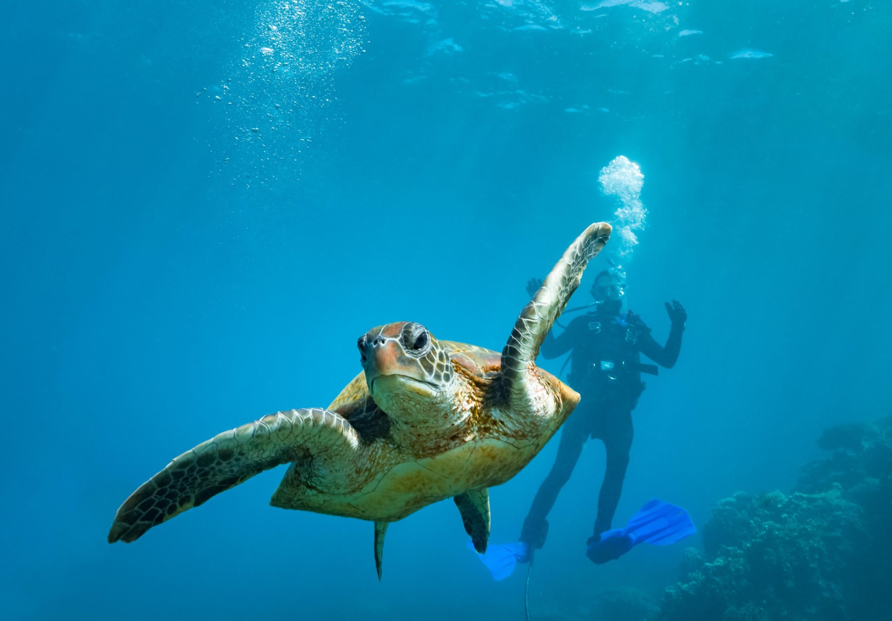 Finding my freedom on a West Coast expedition - Australian Geographic