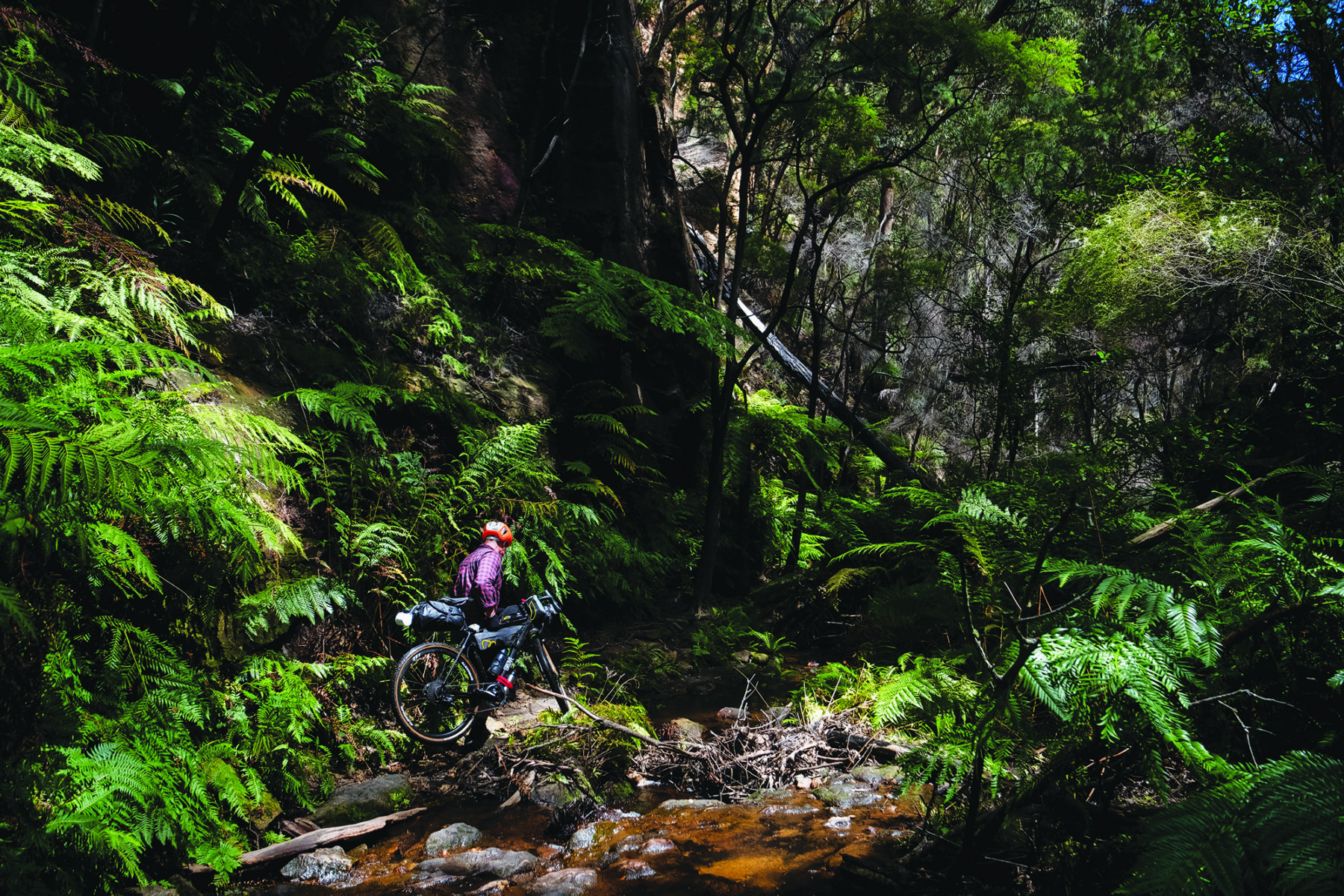 Through the hall of the mountain king: cycling Lithgow to Newnes, NSW