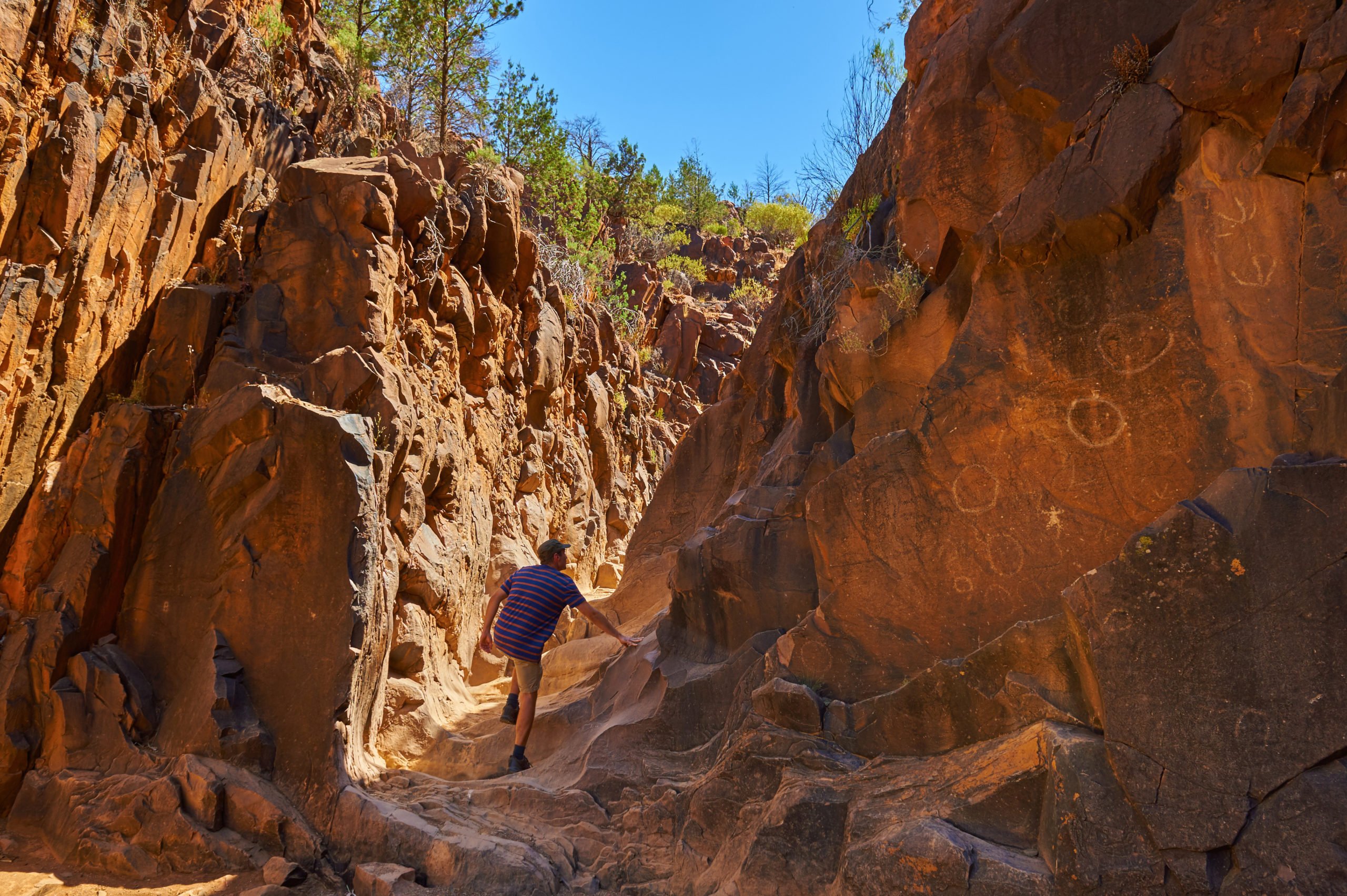 Welcome to Wilpena Pound - Australian Geographic