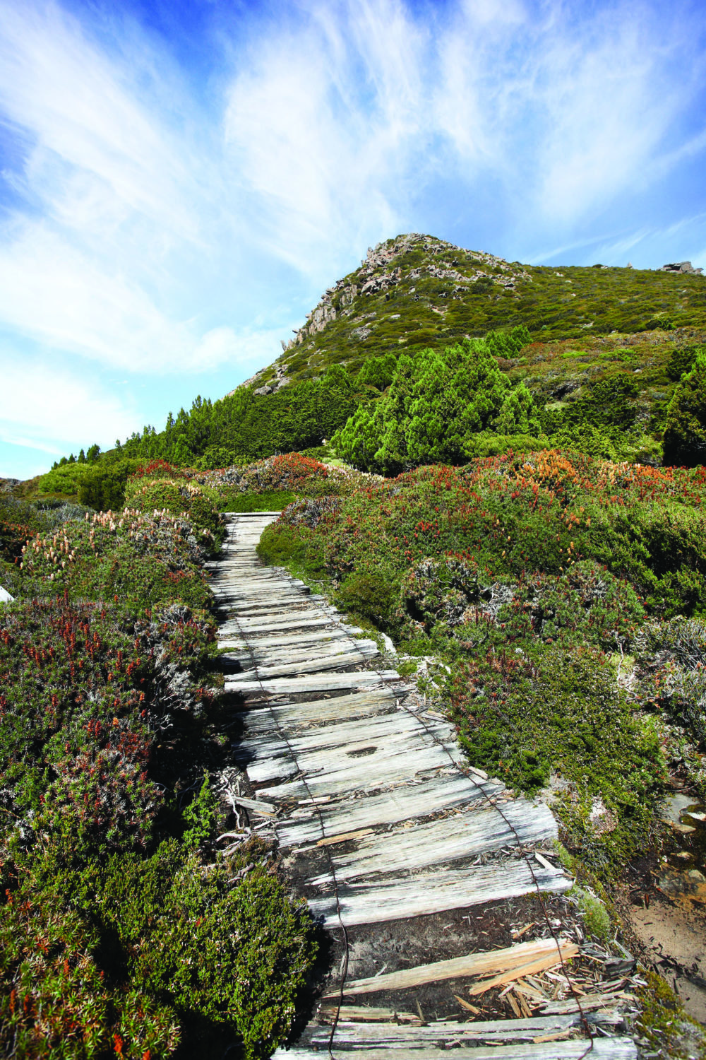 Tasmania's great walks - Australian Geographic