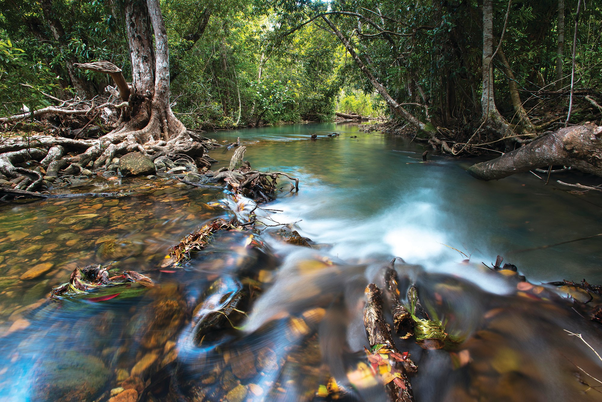 Travel the Wet Tropics World Heritage Area - Australian Geographic