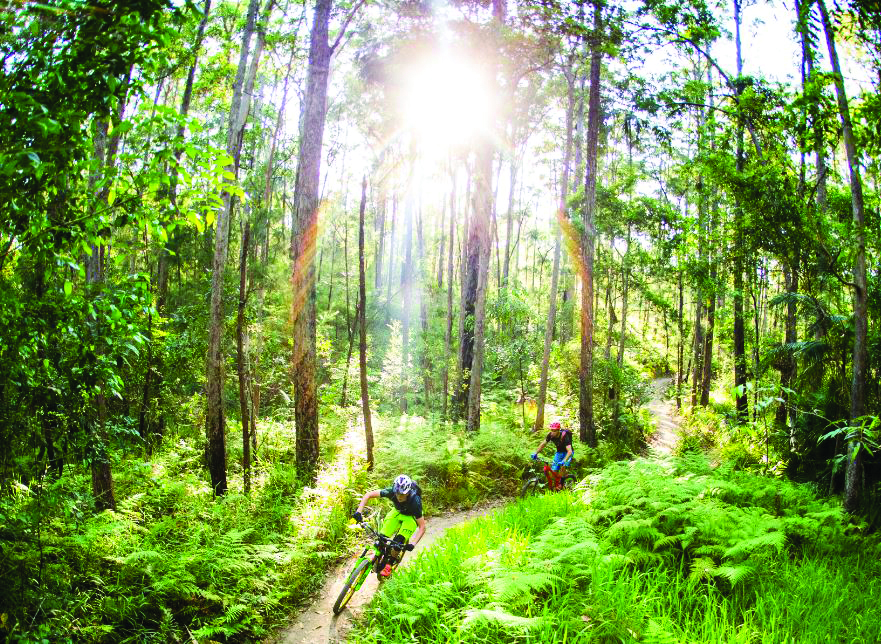 Wooroi trails sale