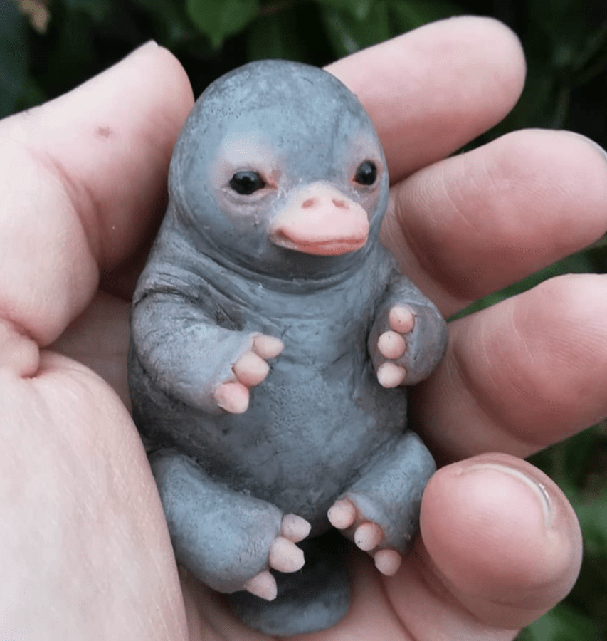 baby platypus stuffed animal pattern printable