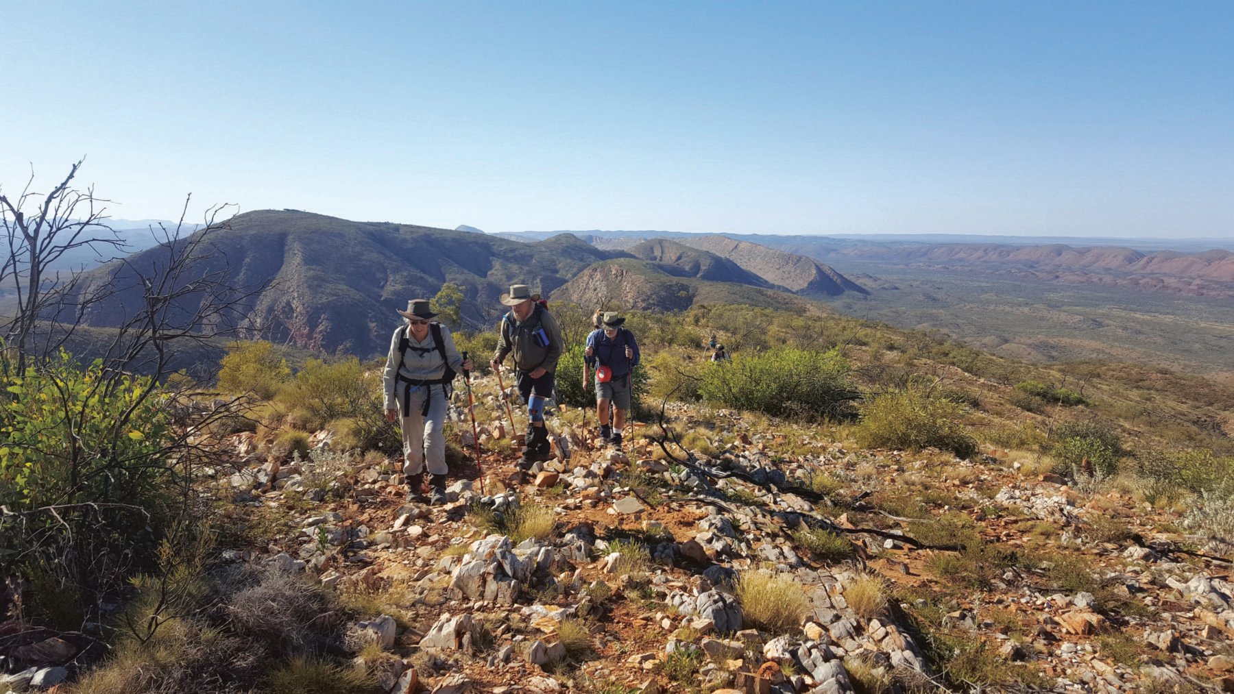 larapinta trek in comfort