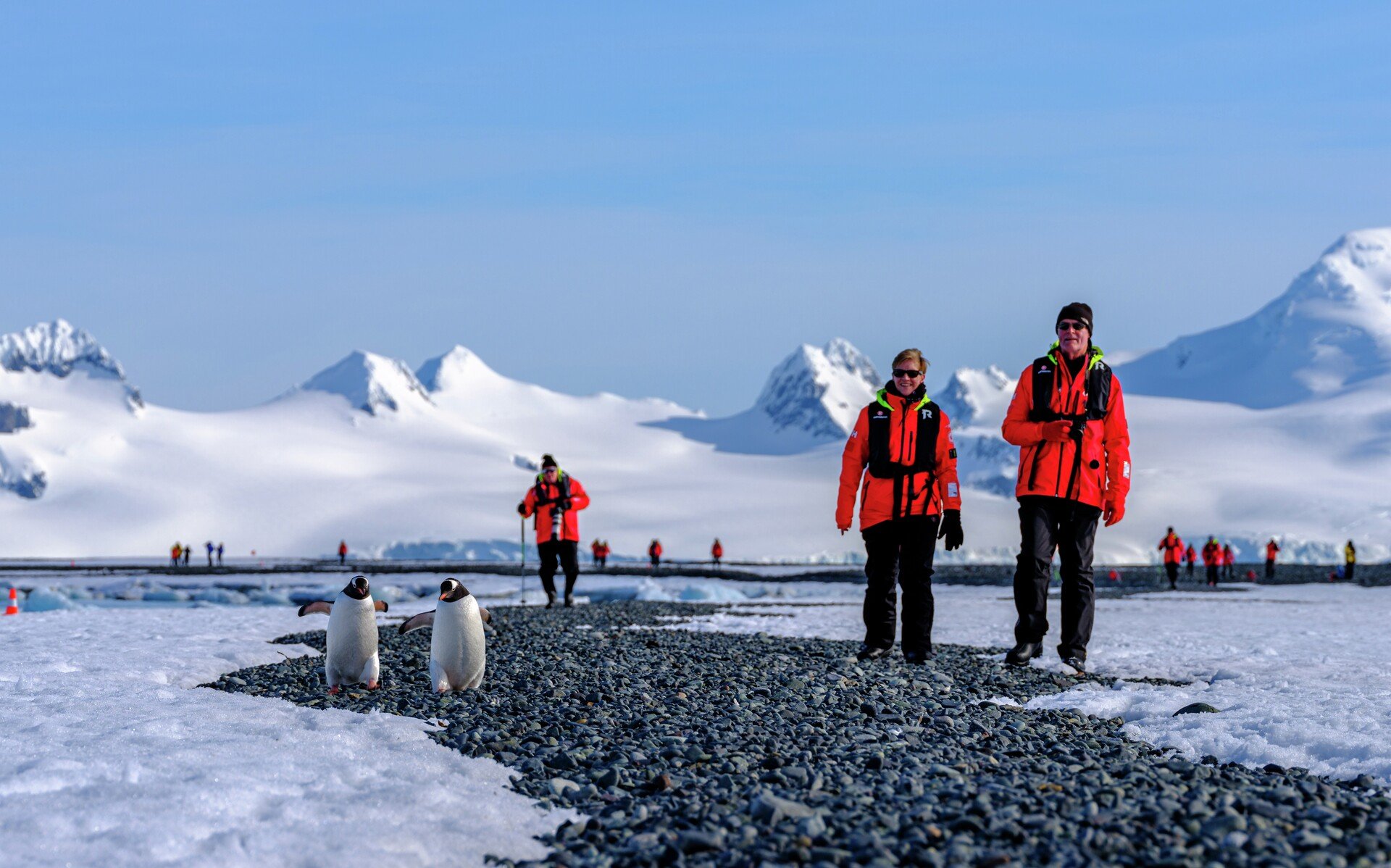 Antarctica, Explored - Australian Geographic