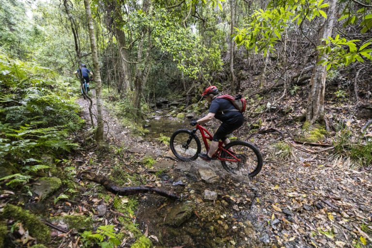 Happy trails: Narooma mountain bike trail network to grow to more than ...