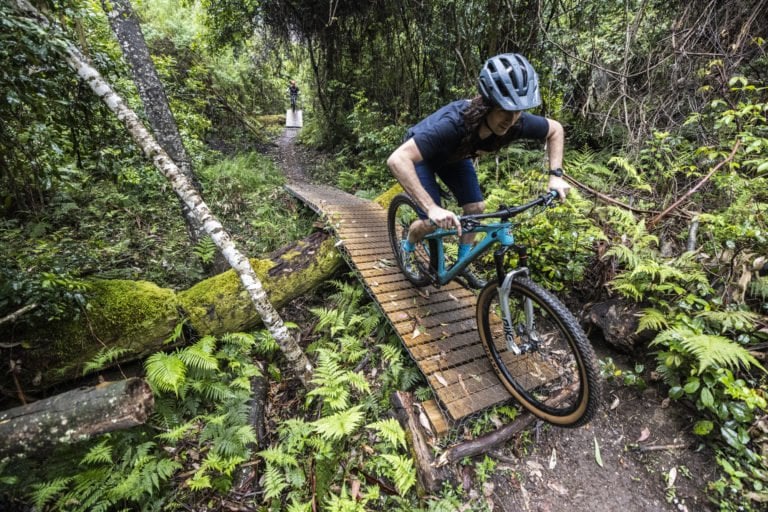 Happy trails: Narooma mountain bike trail network to grow to more than ...