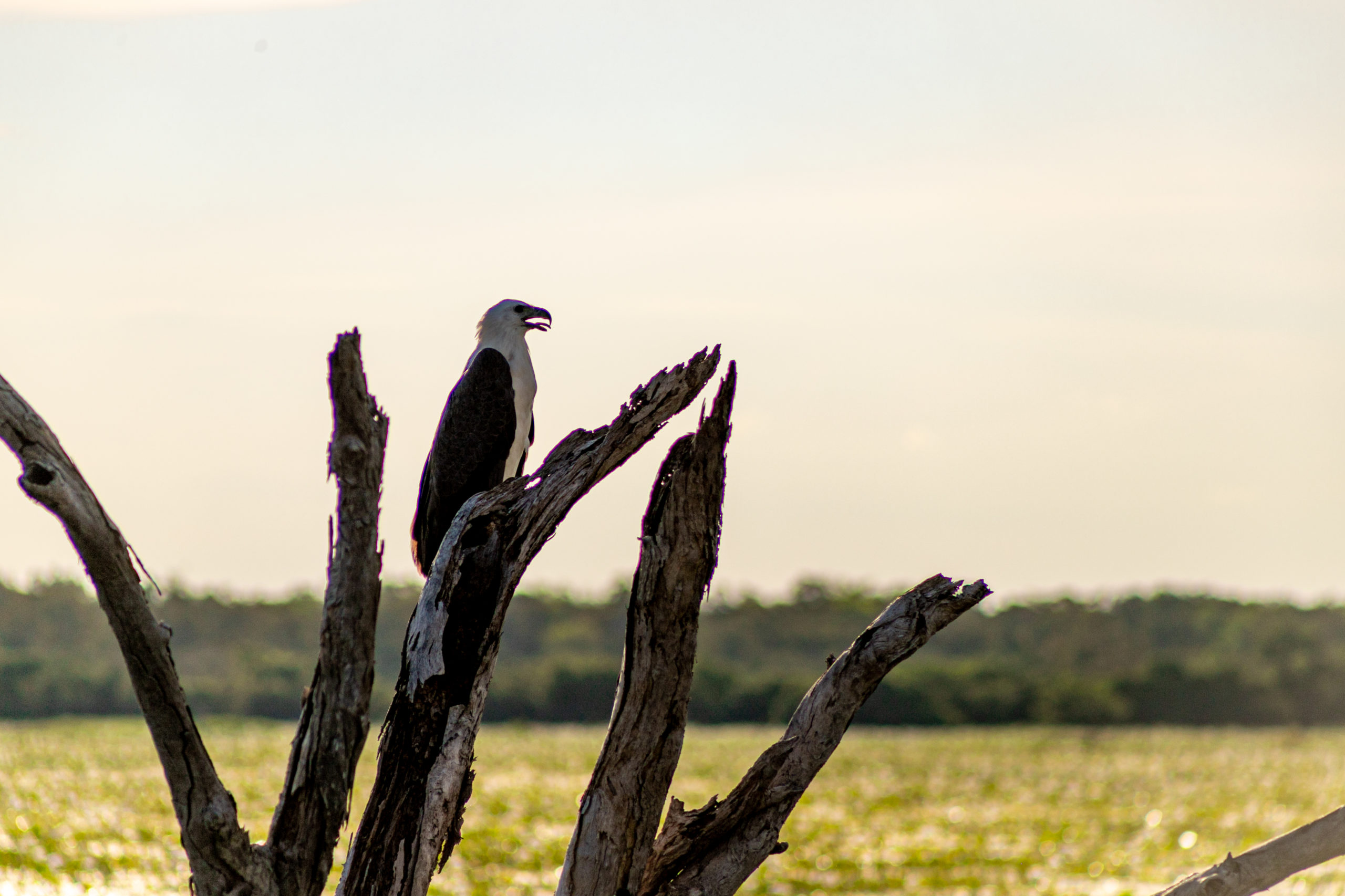 from-uranium-mining-to-sustainable-tourism-how-kakadu-is-changing-post