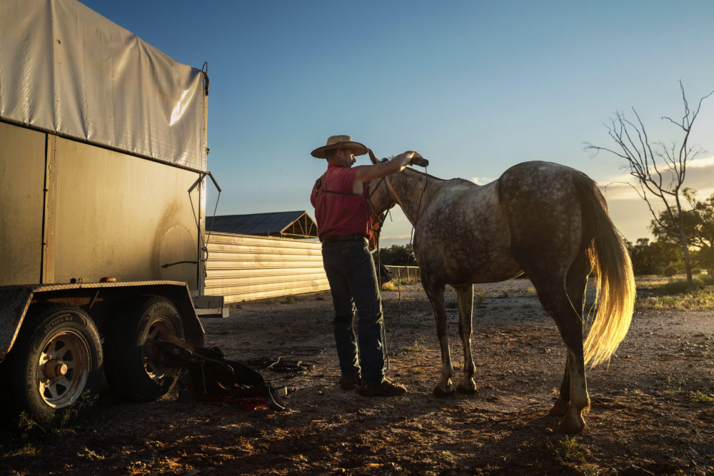 Life on the wire: working Australia's famous Dog Fence - Australian ...