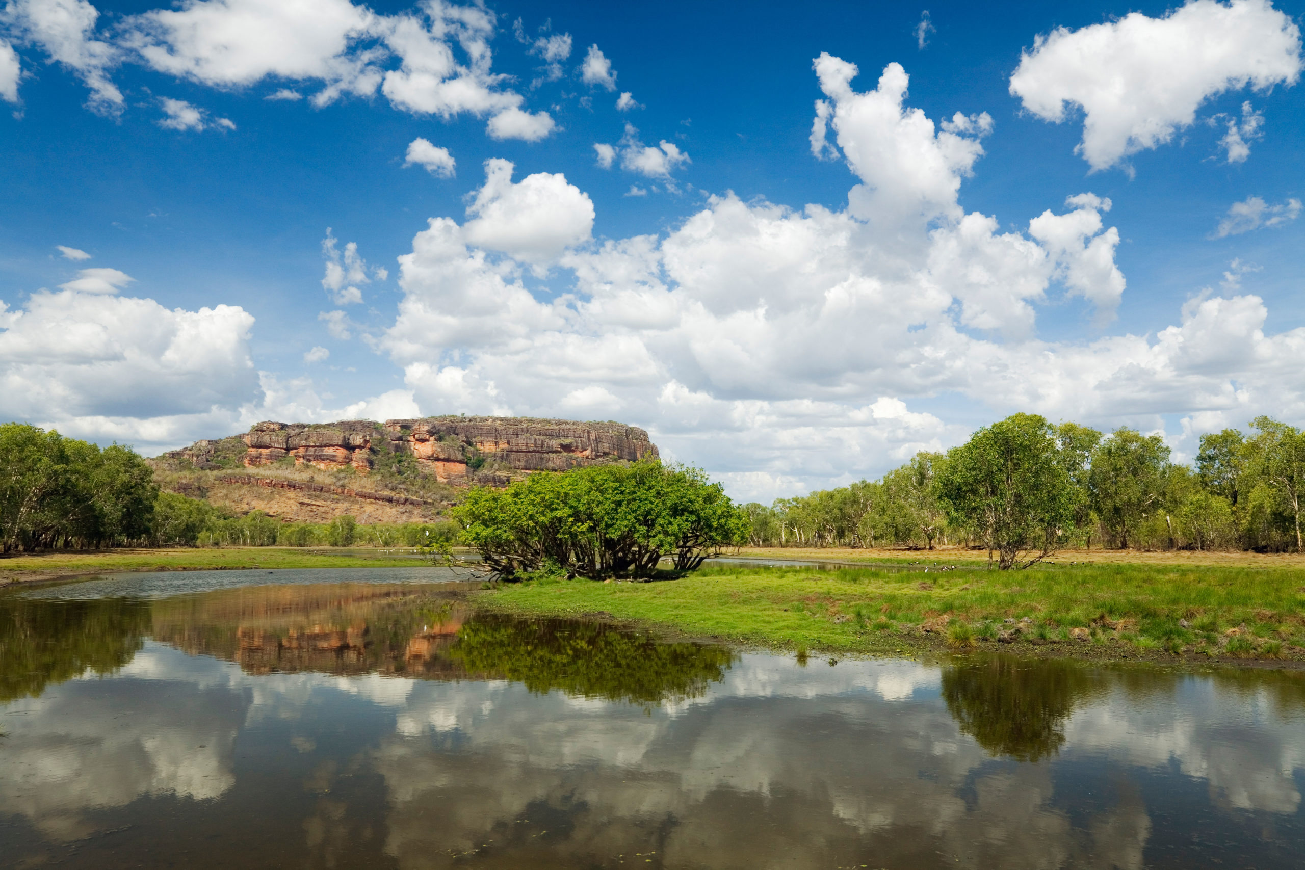 ‘A year of opposites’: Australia’s 2023 environment scorecard details mixed results