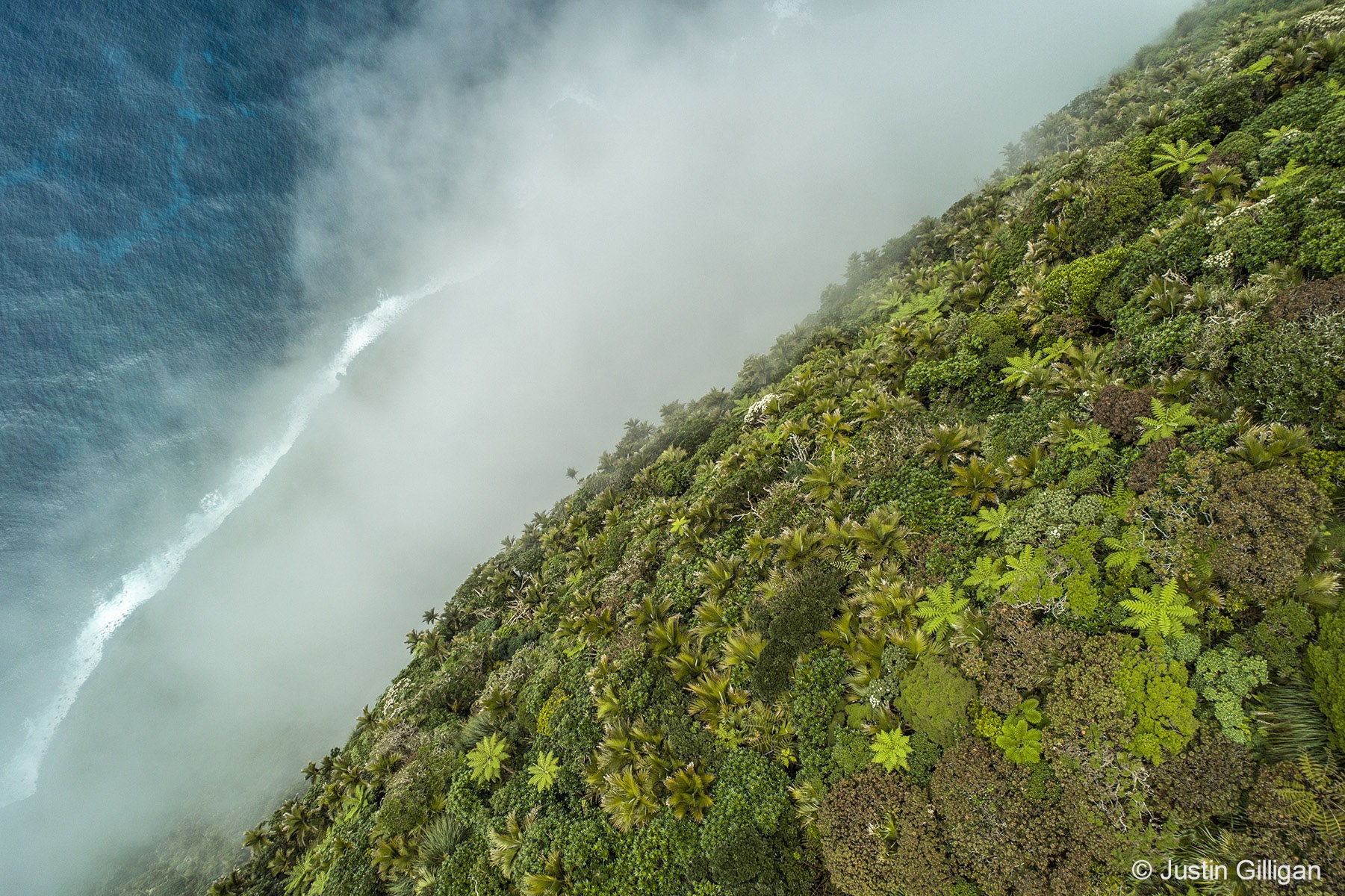 AG Nature Photographer of the Year 2022: Botanical shortlist - Australian  Geographic