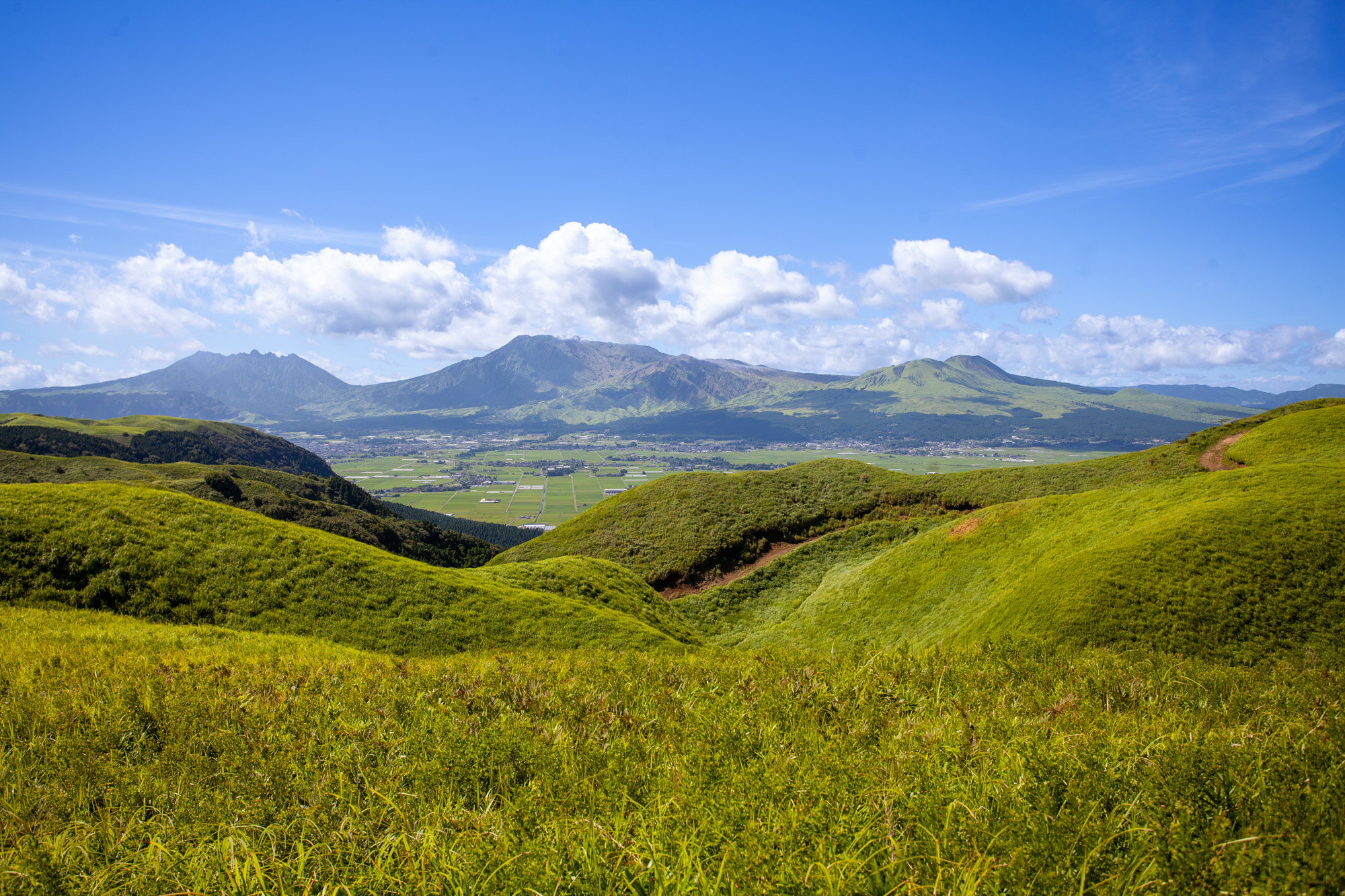 Dreaming of a Japanese adventure: explore Kumamoto - Australian Geographic