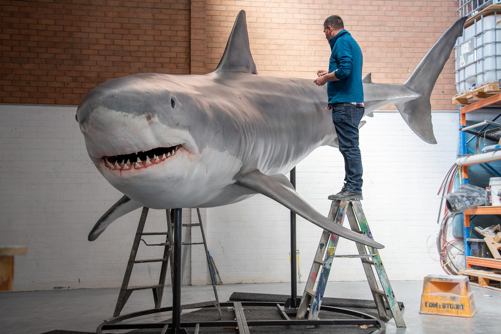 Life Size Sharks & Fish Models for Displays & Photo Opportunities