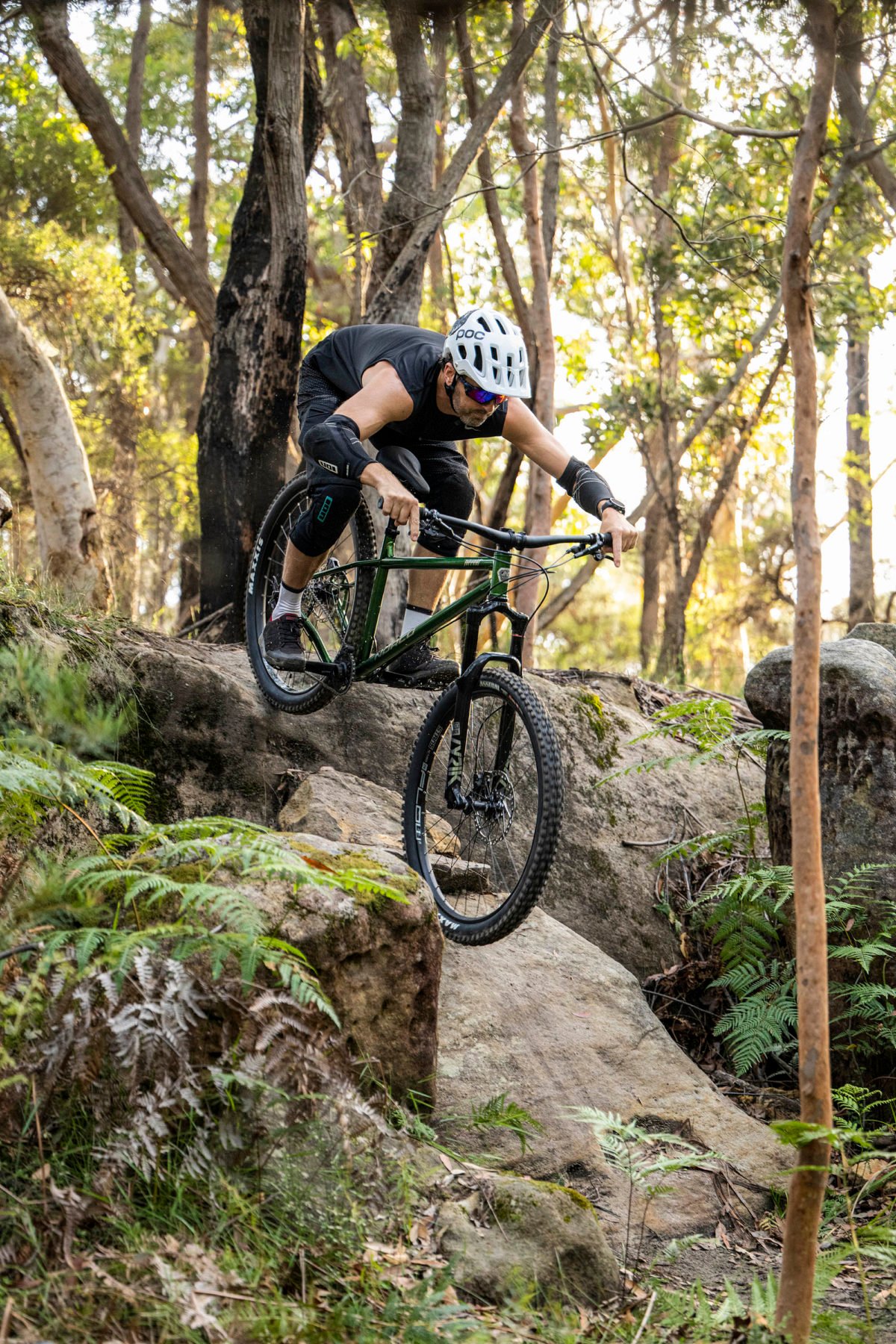 norco torrent nz