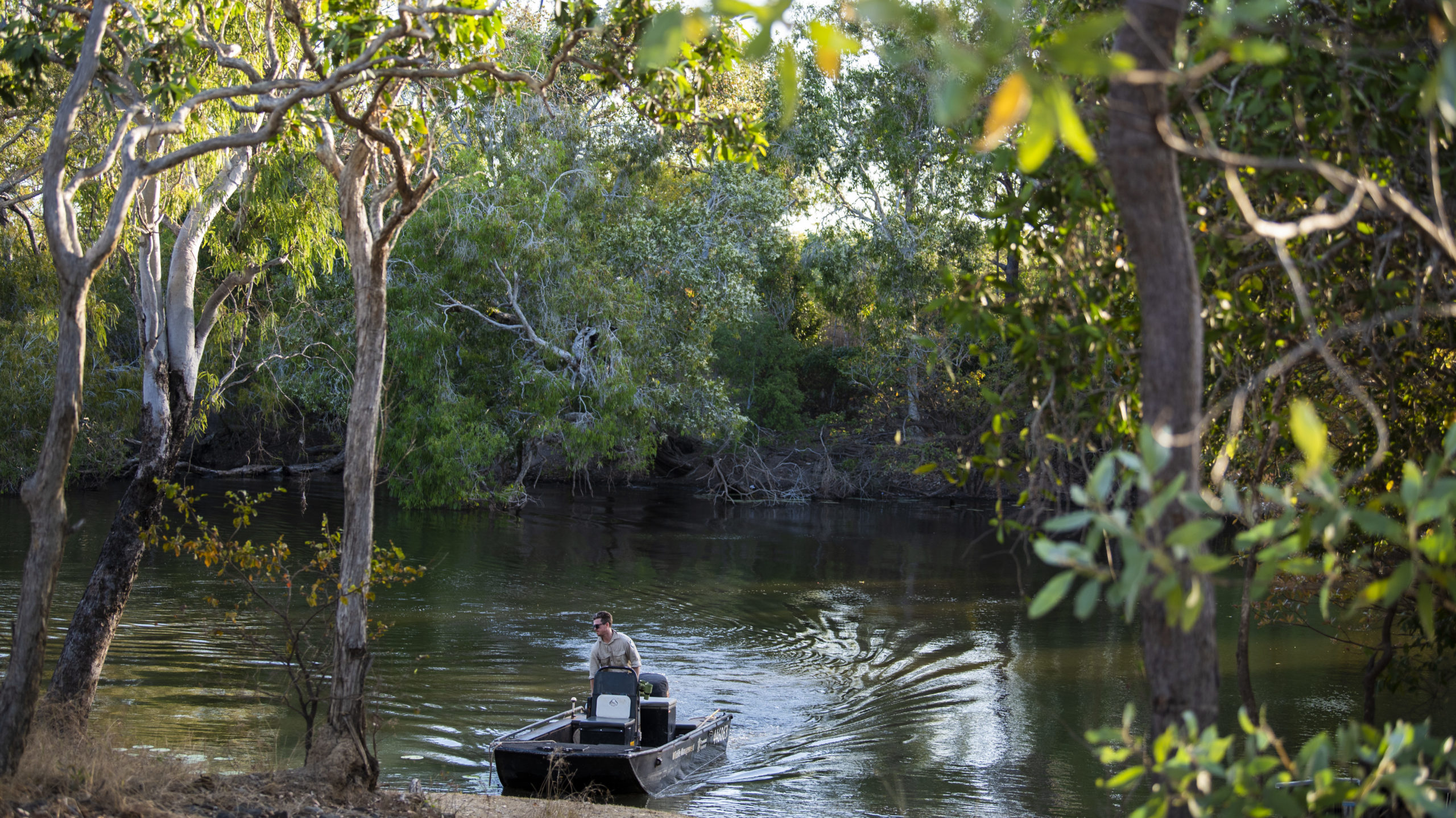 tourism and crocodile