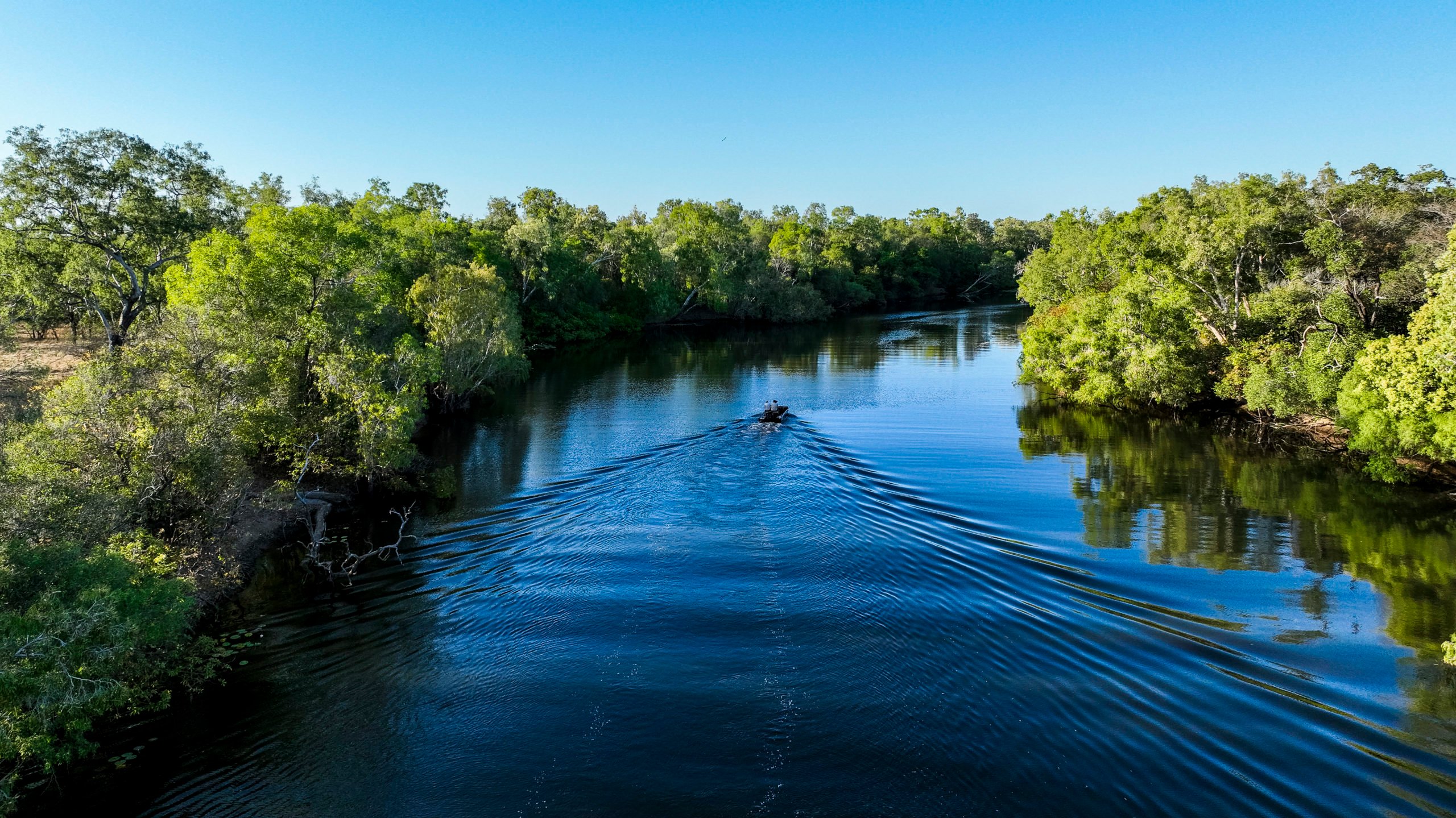 tourism and crocodile