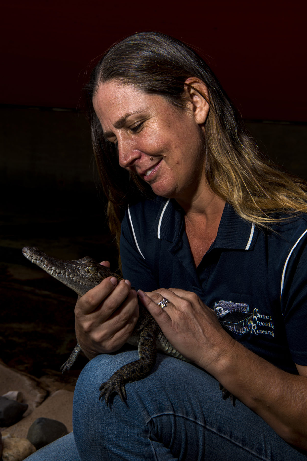 tourism and crocodile