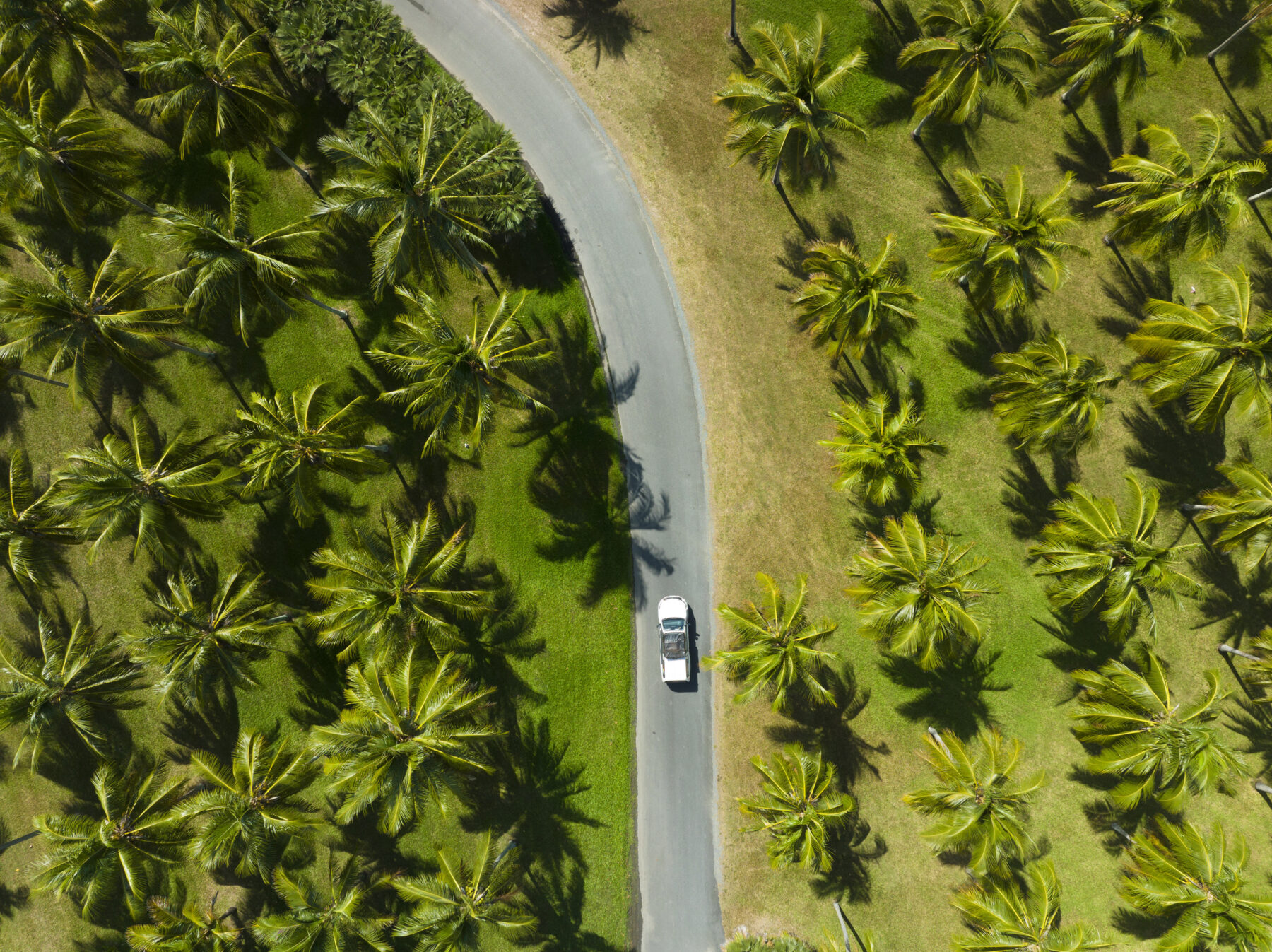 Escape to Cairns: 5 must-do weekend roadtrips - Australian Geographic 