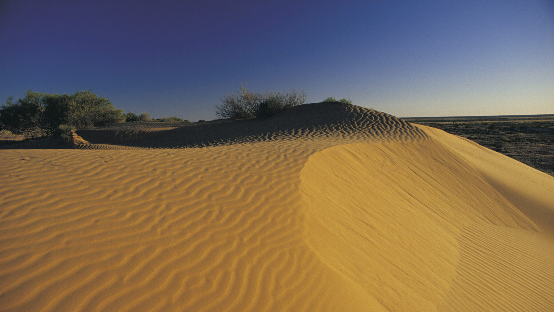 Australia’s 10 deserts - Australian Geographic