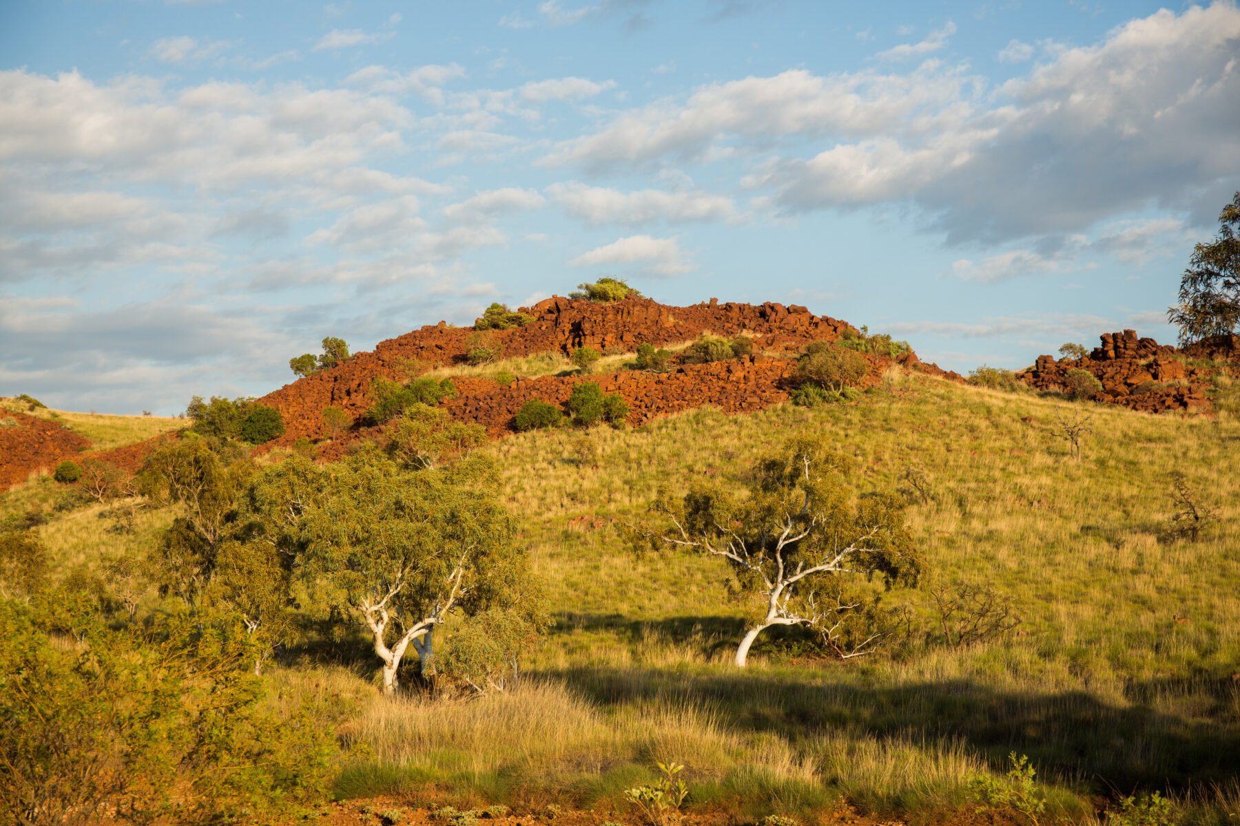 will-this-be-australia-s-next-world-heritage-area-australian-geographic