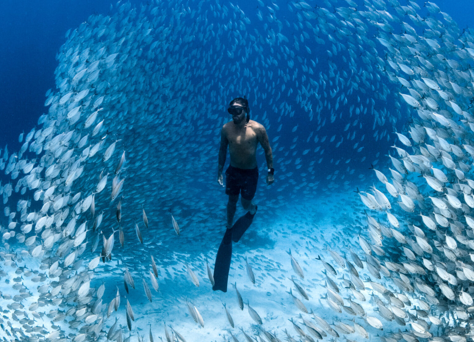 Dive into some of the world's best ocean films at Ocean Film Festival