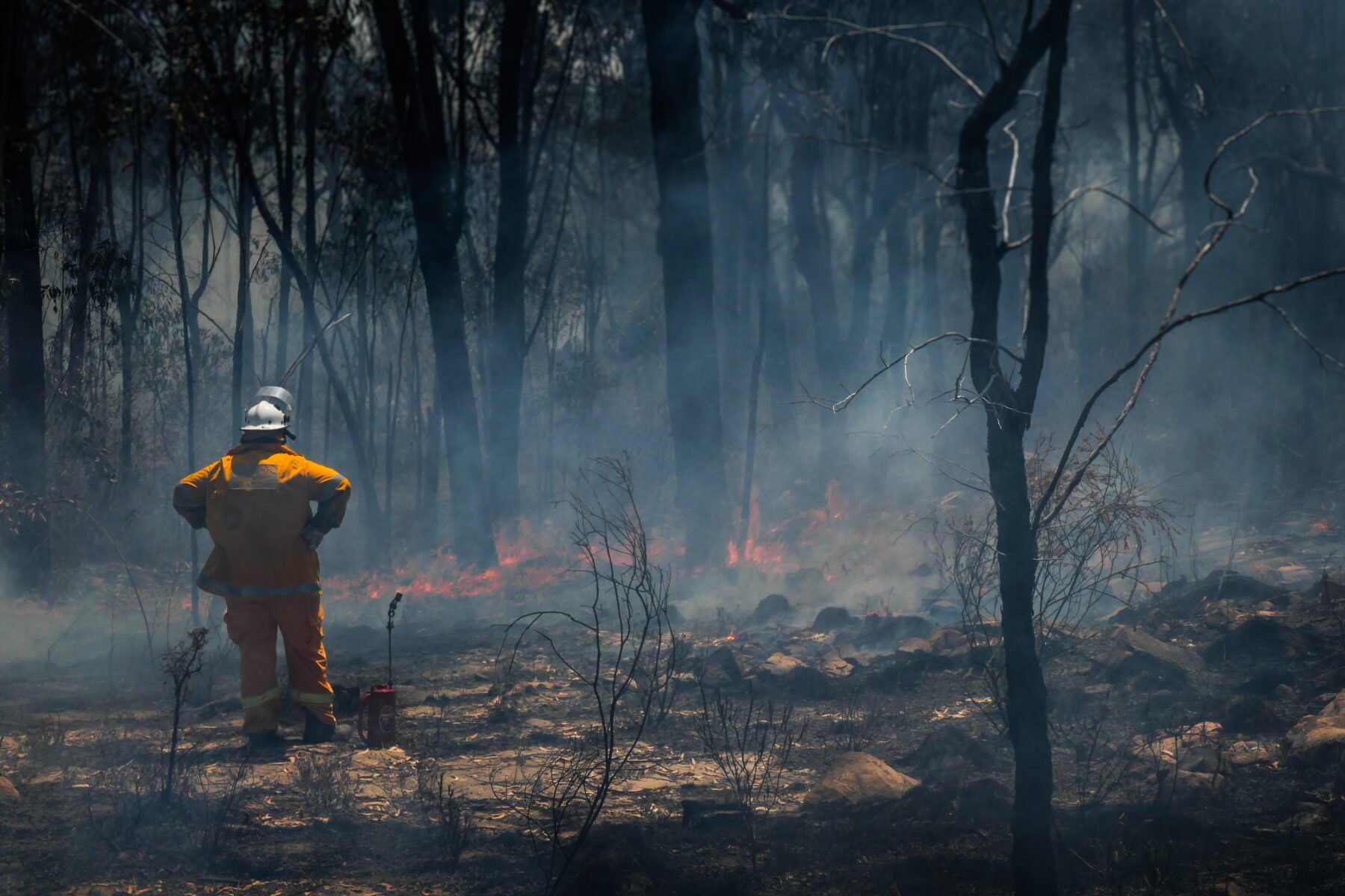 Bureau officially declares El Niño event - Australian Geographic