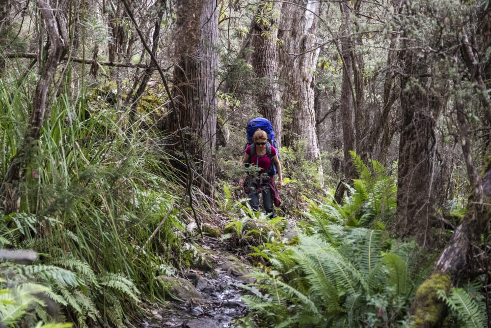 Ultimate Aussie walks: The Walls of Jerusalem Circuit, Tasmania