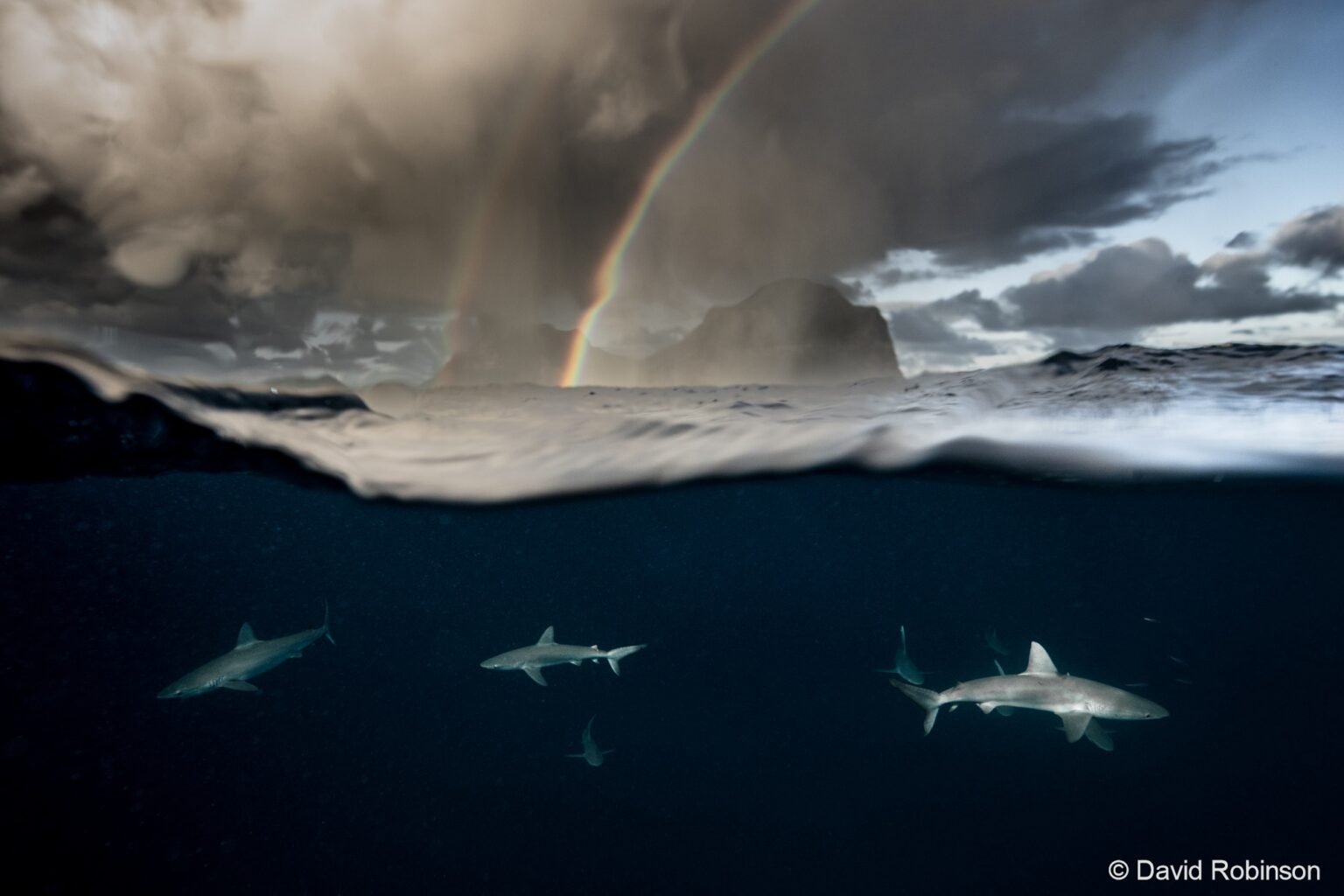 Shortlist 2023 Australian Geographic Nature Photographer Of The Year Australian Geographic