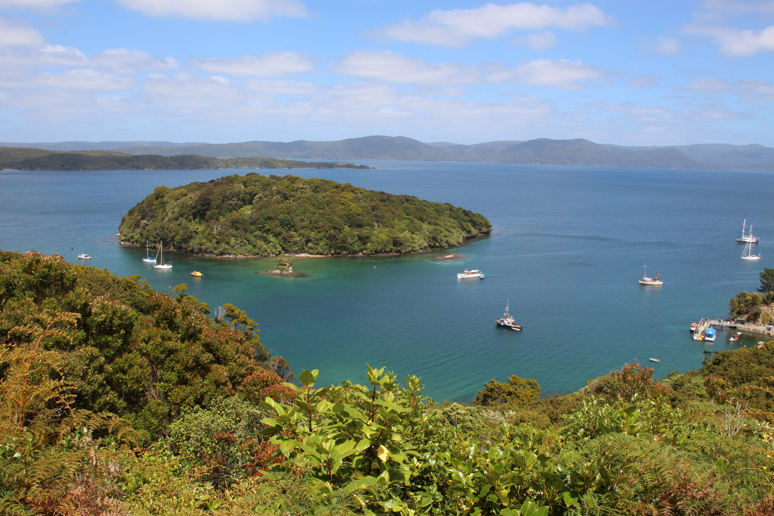 A birding paradise in the South Pacific - Australian Geographic