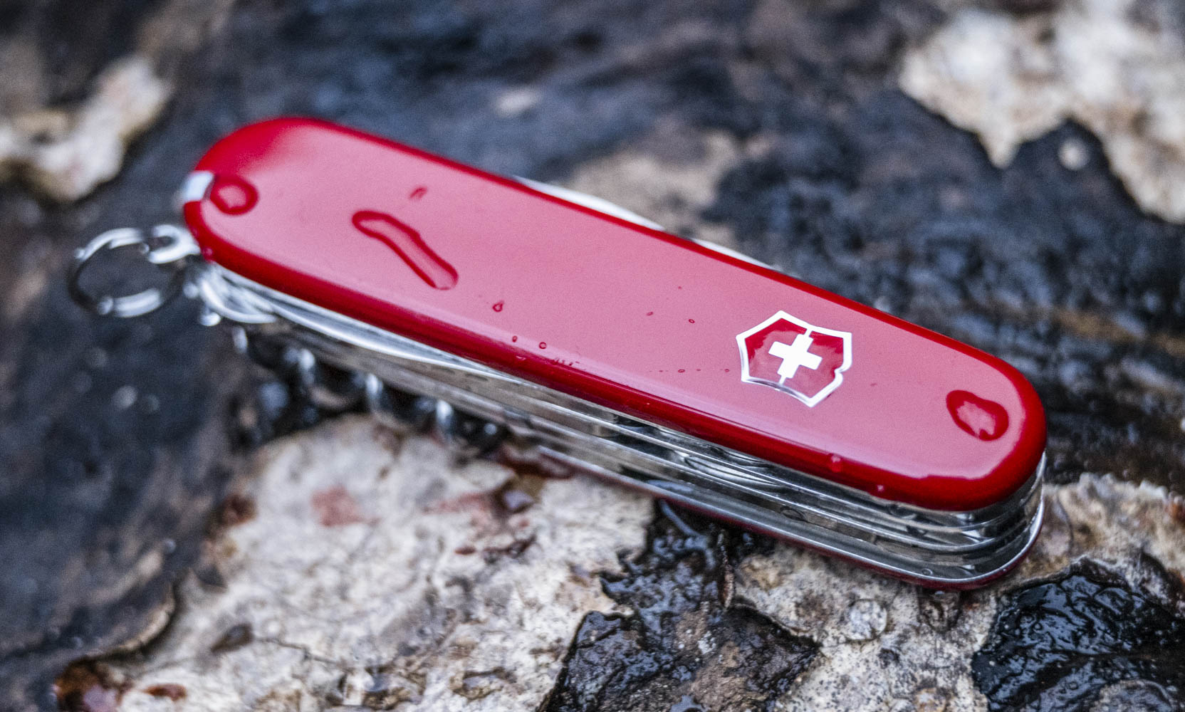 A Great Victorinox Everyday carry