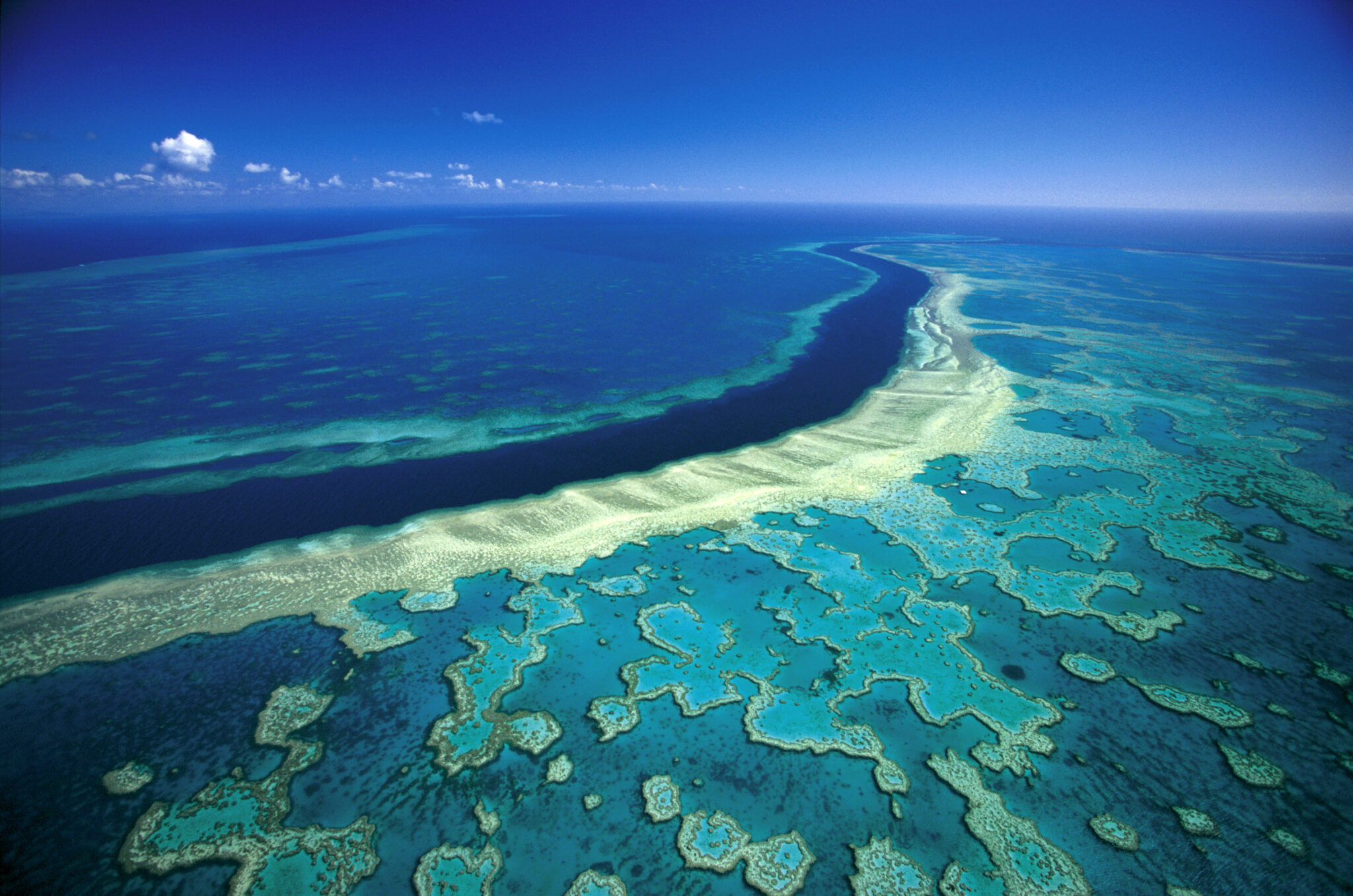 Is the Great Barrier Reef reviving – or dying? Here’s what’s happening ...