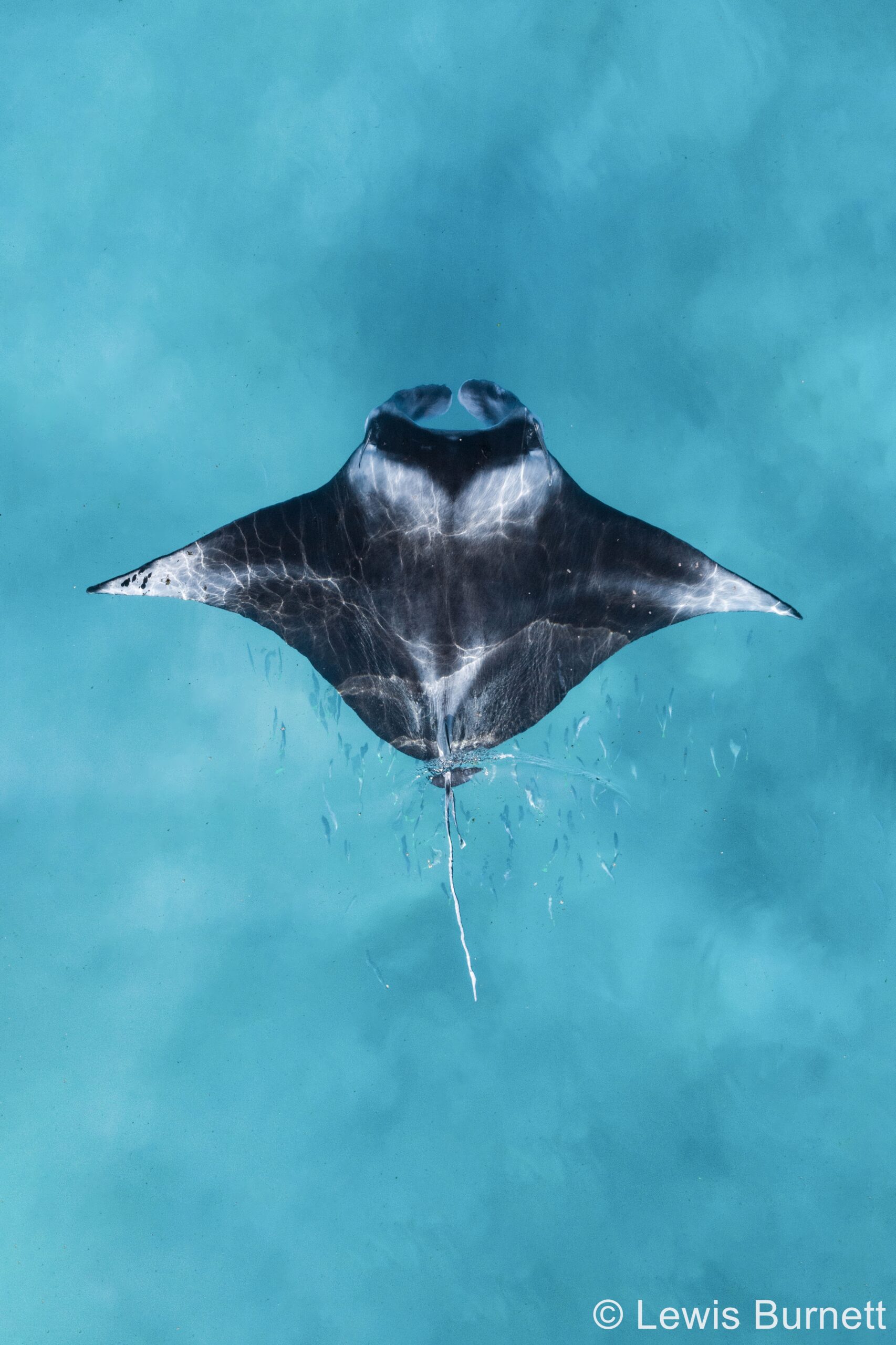 Winners: 2023 Australian Geographic Nature Photographer of the Year ...